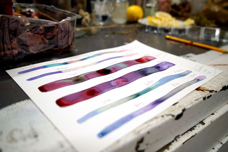 Eine Farbkarte mit Proben unterschiedlicher Farben.